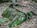 2010-06-12, Uttewalder Grund (8)